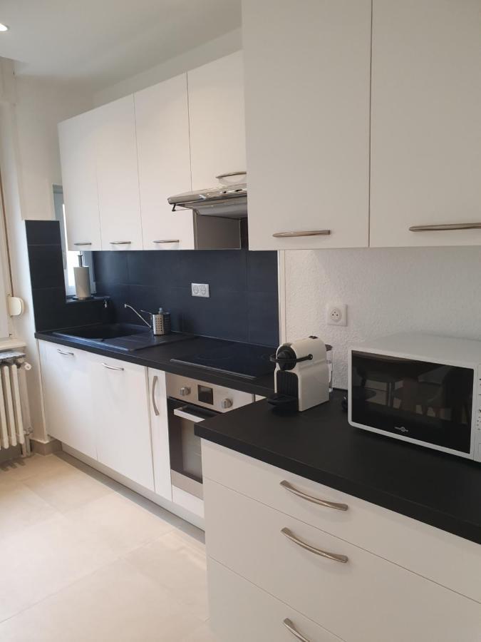 Appartement De Prestige Au Centre Climatise Avec Jardin Prive كولمار المظهر الخارجي الصورة