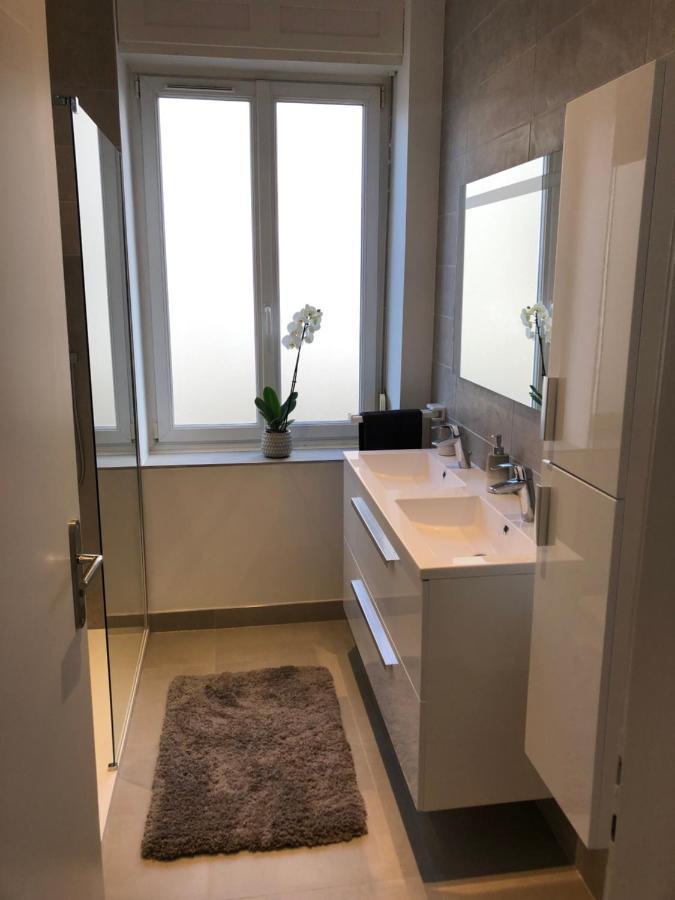 Appartement De Prestige Au Centre Climatise Avec Jardin Prive كولمار المظهر الخارجي الصورة
