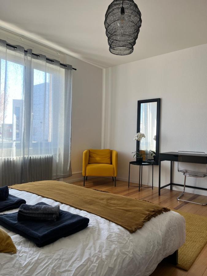Appartement De Prestige Au Centre Climatise Avec Jardin Prive كولمار المظهر الخارجي الصورة