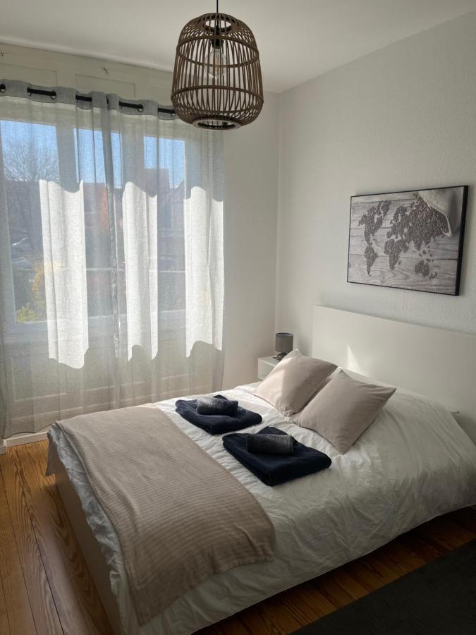 Appartement De Prestige Au Centre Climatise Avec Jardin Prive كولمار المظهر الخارجي الصورة